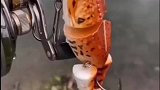 什么鱼能拒绝这样的鱼饵
