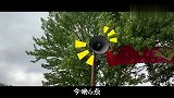 第二集：篁岭打造鲜花小镇，小蜜蜂落户篁岭