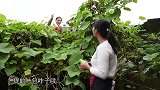 丫丫今天做四川菜“香辣猪肺”营养美味又解馋，越吃越香