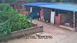 72岁老爸偷买三轮车，在家试驾撞烂围墙：不退，放那儿看着开心