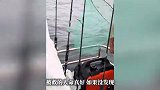 男子在海上漂流一小时被钓友救起，知情人：上厕所被浪掀进海里，获救是真“命好”