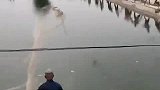 鱼：我好想逃，却逃不掉