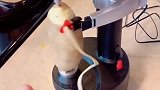 自动化设备电动削皮器