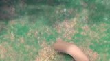 熊出没：金发美女光头强，准备和熊二干嘛去！