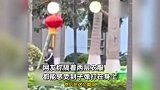 男子带俩儿子用“枪”打流浪猫，女子也被扫射：被吓懵后蹲旁边哭