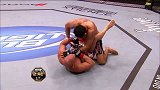 UFC-16年-格斗之夜100自由格斗：小诺盖拉vs奥提兹-专题