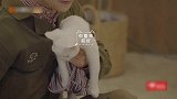 何炅给猫咪穿高领毛衣超搞笑，千玺谢娜都夸赞