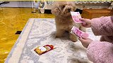 如何分配涂涂的新年红包
