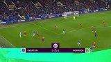 戈弗雷 英超 2019/2020 英超 联赛第13轮 埃弗顿 VS 诺维奇 精彩集锦