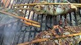 西双版纳傣家烤鱼