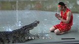 鳄鱼表演，男子将手伸进鳄鱼口中，鳄鱼借着身体来了个死亡翻滚！