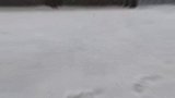 4月29日山西五台山突降雪和冰雹山西 忻州 五台山 雪 冰雹