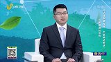 大医本草堂-20220826-巧化脑血管疾病，中医辨证解忧