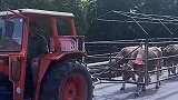 民间高手放牛，涨见识了