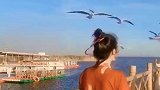 胡杨公主与海鸥