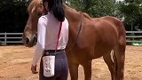 骑马就是要这样相互配合