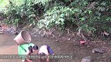 农村大叔在田地干活，挖开干旱的泥土后，发现许多的大鲶鱼