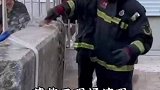 施工现场惊现元代竹温台碑，消防员进行文物清洗