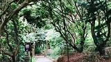 清溪镇大王山