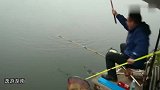 月细雨绵绵好钓鱼，钓友战黑坑接连钓获鲫鱼、红鲤鱼很过瘾