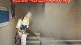 大连：对整个区域进行地毯式消杀