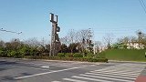 这里是一片世外桃源，养着5-6头牛
