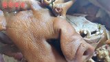 阜阳太和著名蒸肉，肥肠65元一斤整点喝几杯