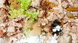 花开富贵教程，鲜美营养、好看好吃做给家人吃！