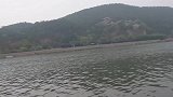 安宁走基层：爱心人士游览龙门石窟下