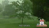 台风“山竹”走后，被水淹树砸的车到底由谁来赔？