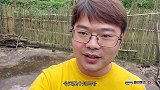 藤蔓手指般粗的野淮山你见过吗？猛挖2小时，坑比人高，收获心寒