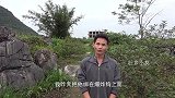 小莫的农村生活，捕鱼充饥砍竹搭院，忙碌也是一种享受