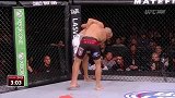 UFC-14年-UFC Fight Night 54：拉普里斯vs赛德诺集锦-精华