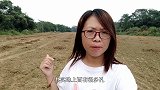 外地老板花1500元买的高科技，一天收入1000元，涨见识了