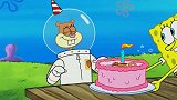 珊迪过生日，吃蛋糕的却是派大星，尴尬了