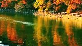 心中若有景，处处百花香。