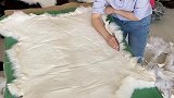 工资最高的小姐姐，羊皮裁剪去边都是一刀成，工资拿的问心无愧