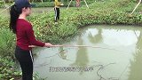 美女水边玩耍，钓上5斤重大鱼，真是太厉害了