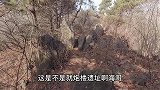 退休夏天来吉林避暑，享受田园生活，一个月2000元够花么