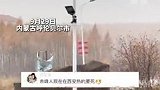 内蒙古一地又下雪了 呼伦贝尔迎来2024年第一场雪 内蒙古网友：欢迎南方的朋友们来避暑#内蒙古很近很美