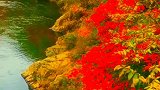 炫丽的路途风光（10月中旬去本溪关门山途中拍摄）