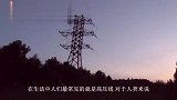 一群鸟儿在高压线上停留,当它们集体起飞时,高压线瞬间爆炸