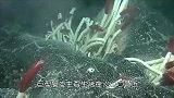 这种虾生活在深海450度火山口，那么问题来了，怎么煮熟