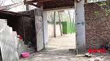 喜剧：老三给村妹制定减肥计划，不但没减掉反而增加了，结局真逗