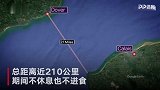 历史首位！抗癌女斗士4次横渡英吉利海峡 54小时游210公里