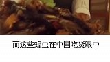 中国吃货无所不能！