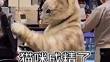 好家伙这一看差点以为是真的呢