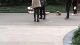 大爷因纸箱发生冲突，女子挺身而出