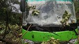 贵州一大巴车行驶中被大树砸中 一车12人险丧命