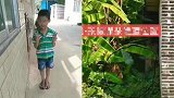 广西玉林11岁男孩突然走失 家属6天后在村后隐蔽处发现遗体